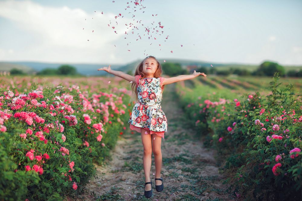 Розовый рай