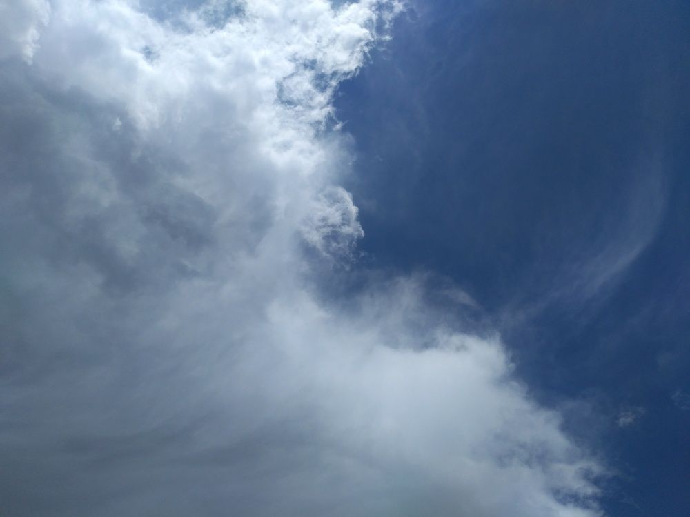 Photo #2390812