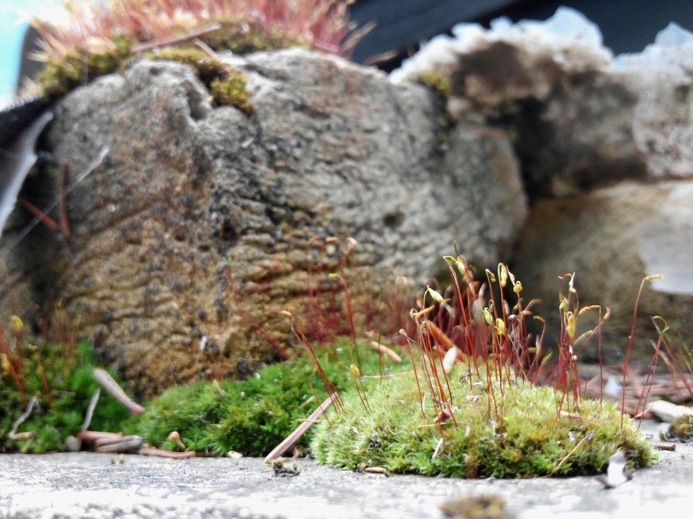 Photograph by Василий