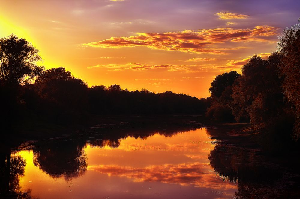 Золото заката