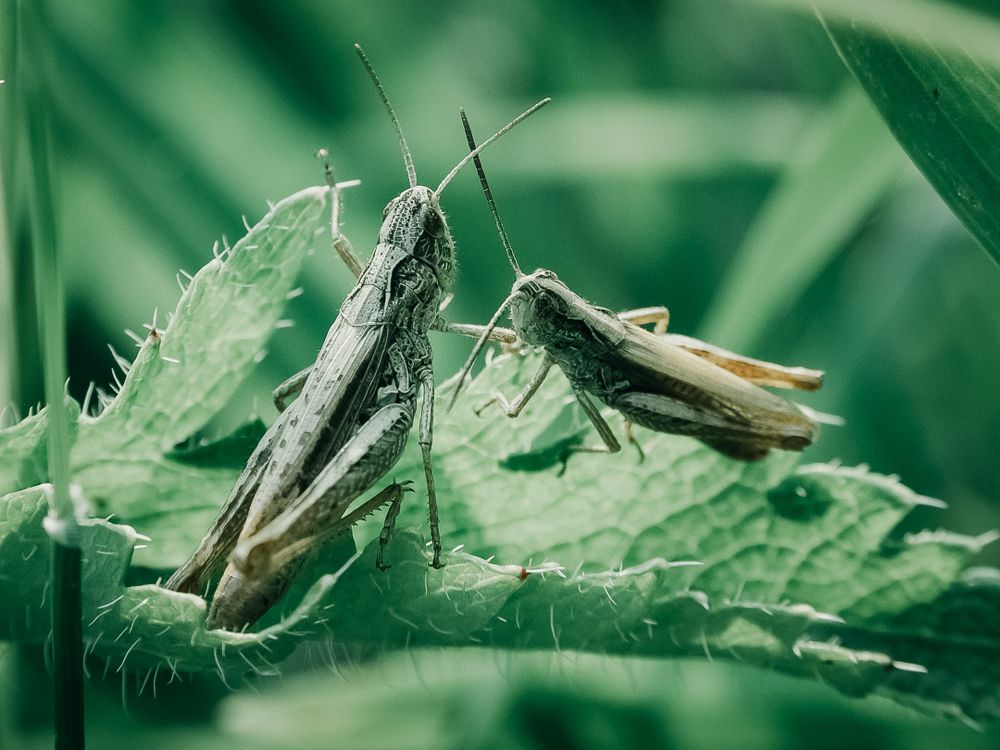 Эмоциональный разговор :-)