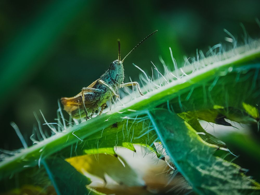 Photograph by Янсон Дмитрий