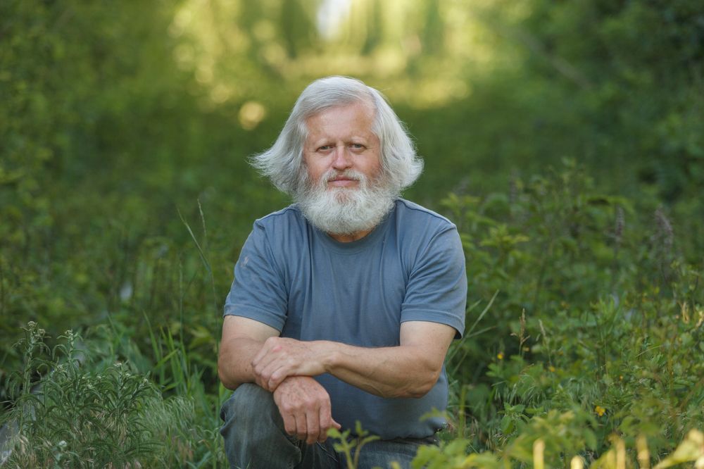 вечерний портрет