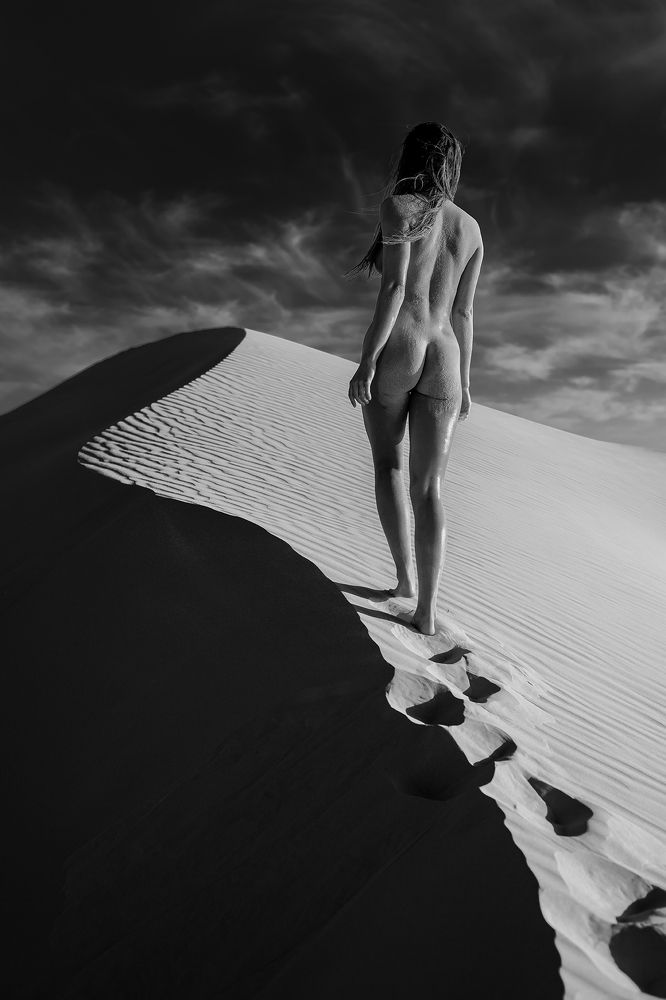 Dune Walker