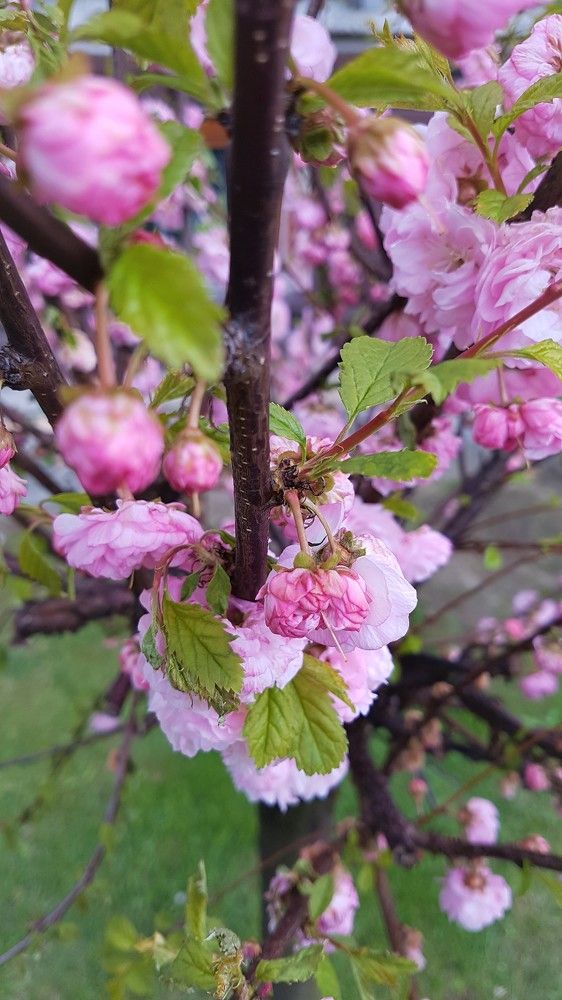 Весенние краски