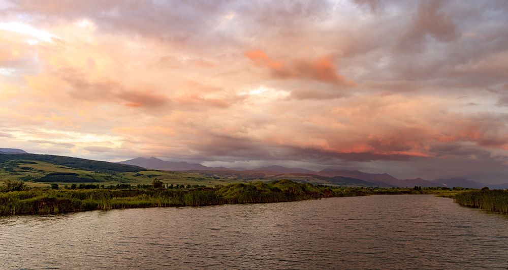 Pink morning / Розовое утро