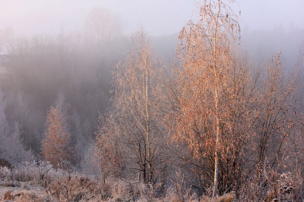 Морозный туман