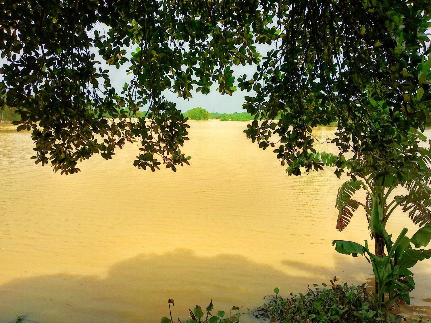 Flood
