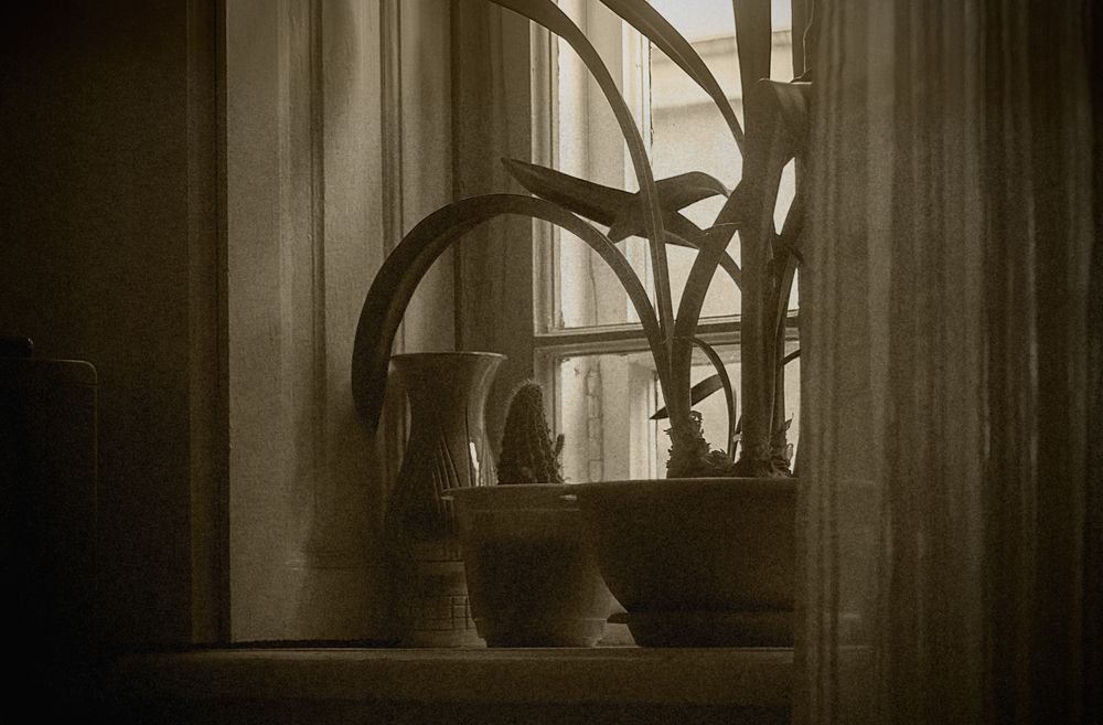 Старое окно. Old window