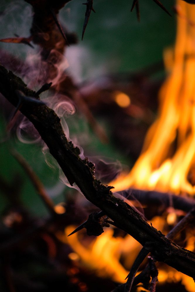 Photograph by Валентина Тарасенко