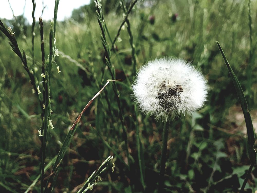 Photograph by Виктория