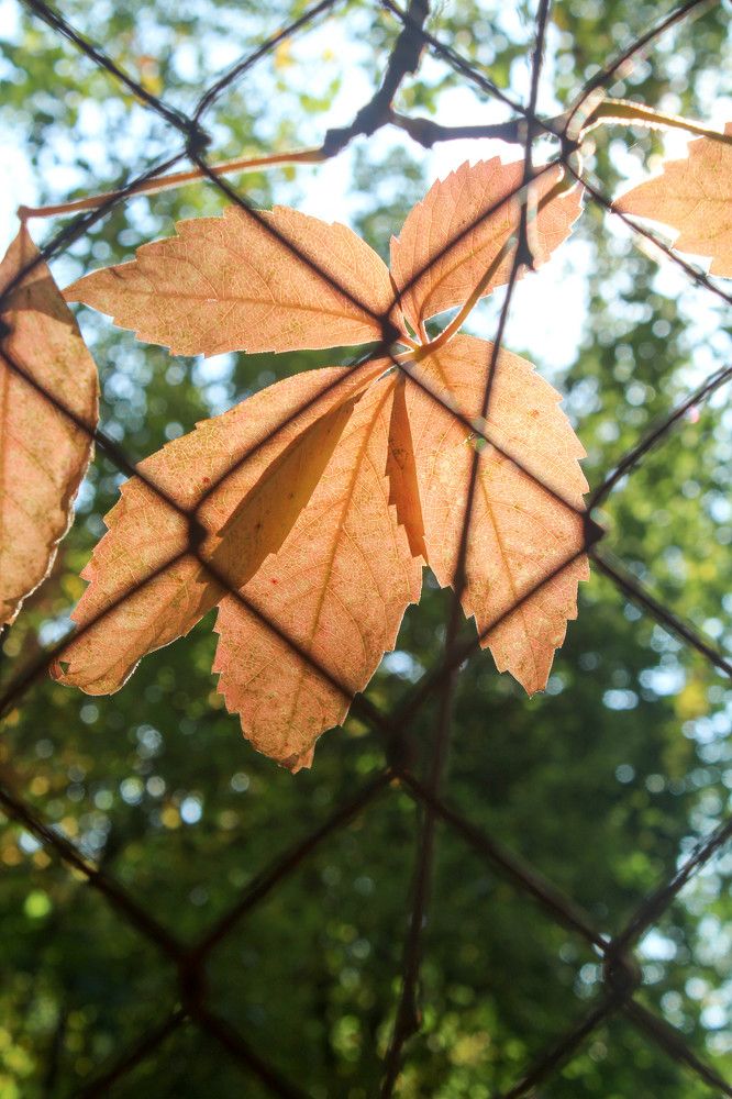 Photograph by Andrejs Peculevics