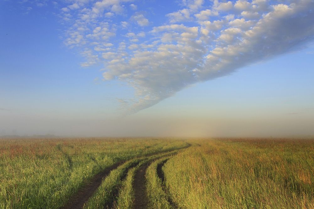 "В туман под облаками"