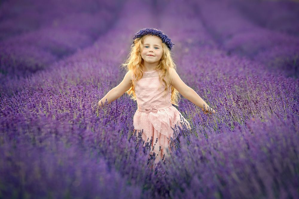 Лавандовое счастье