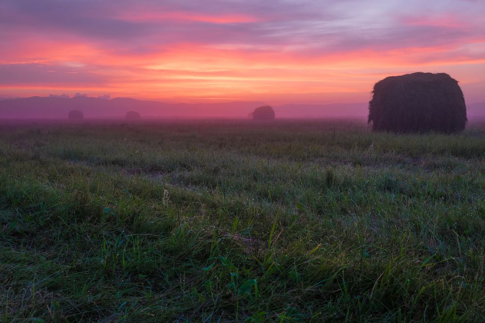 Рассветный час