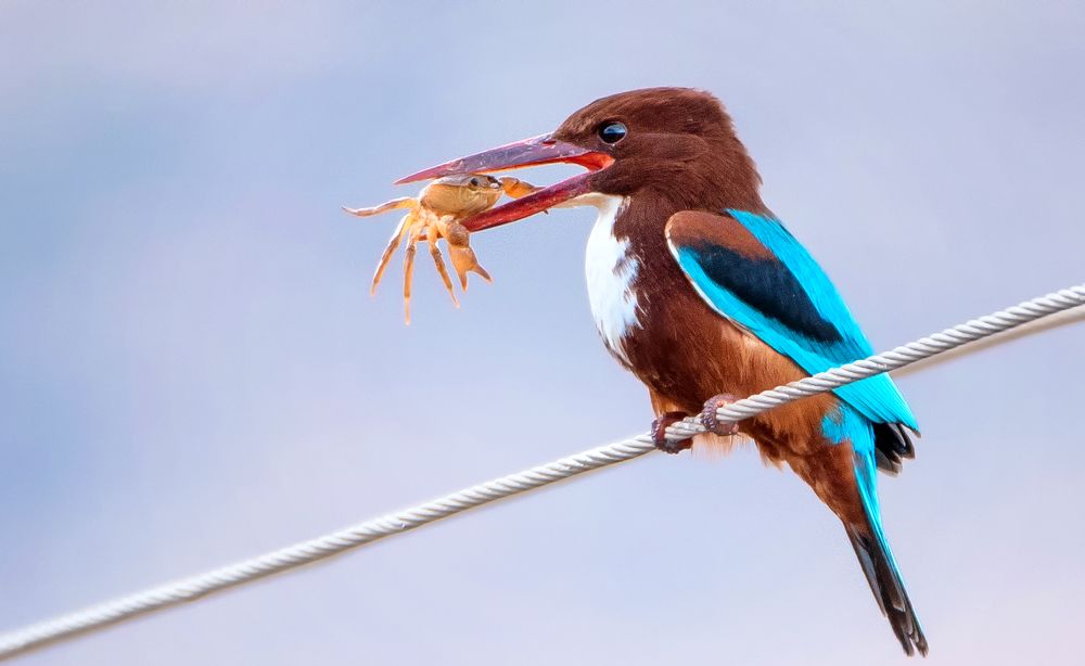 Последний взгляд