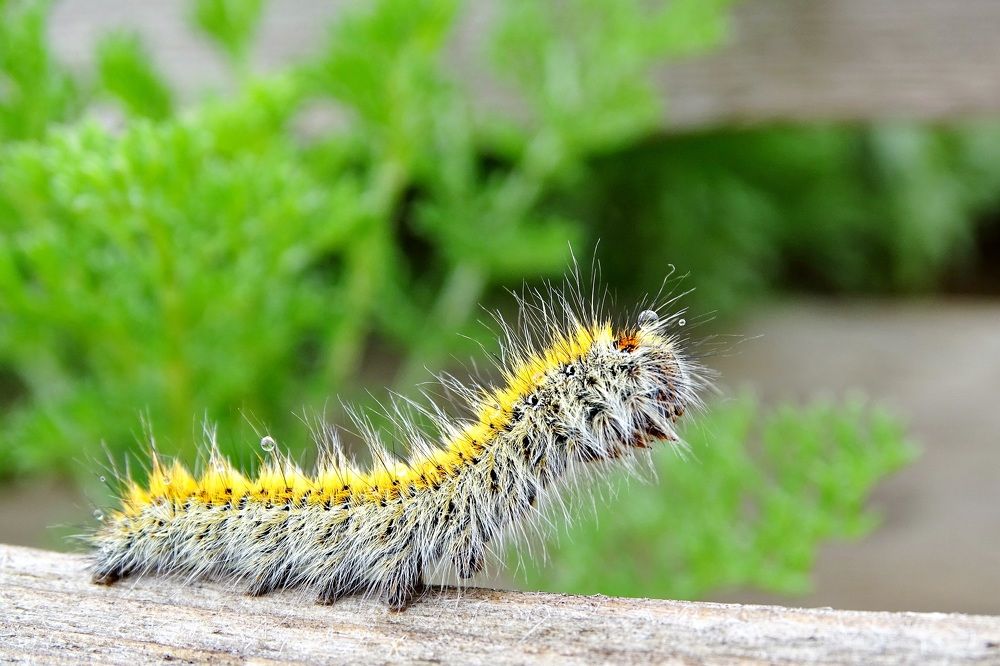 Photograph by Людмила