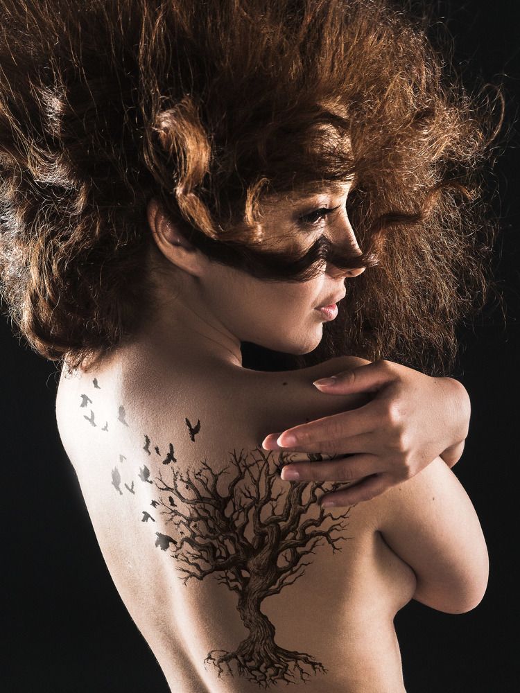 Фотография автора Алексей Школдин