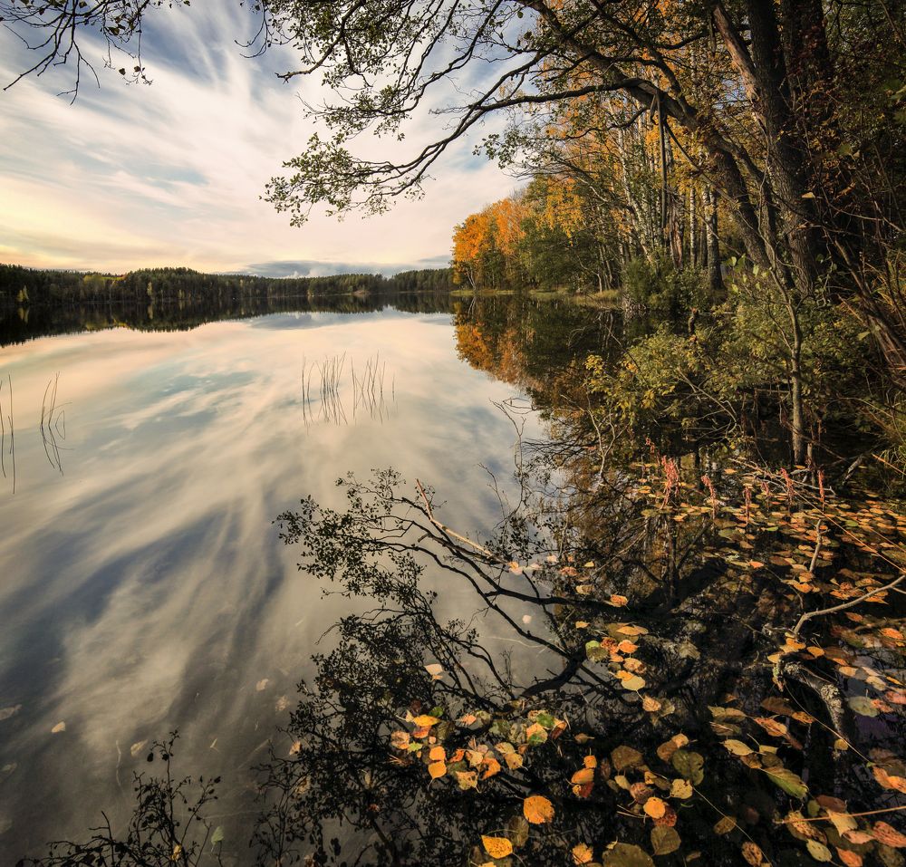 Осенний мотив