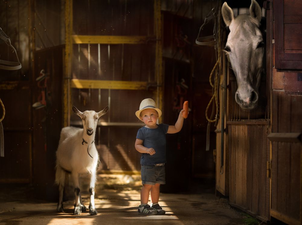 Photograph by Людмила Казакова