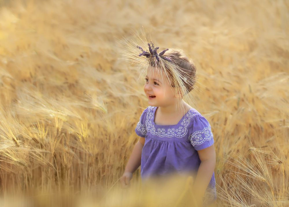 В золоте полей