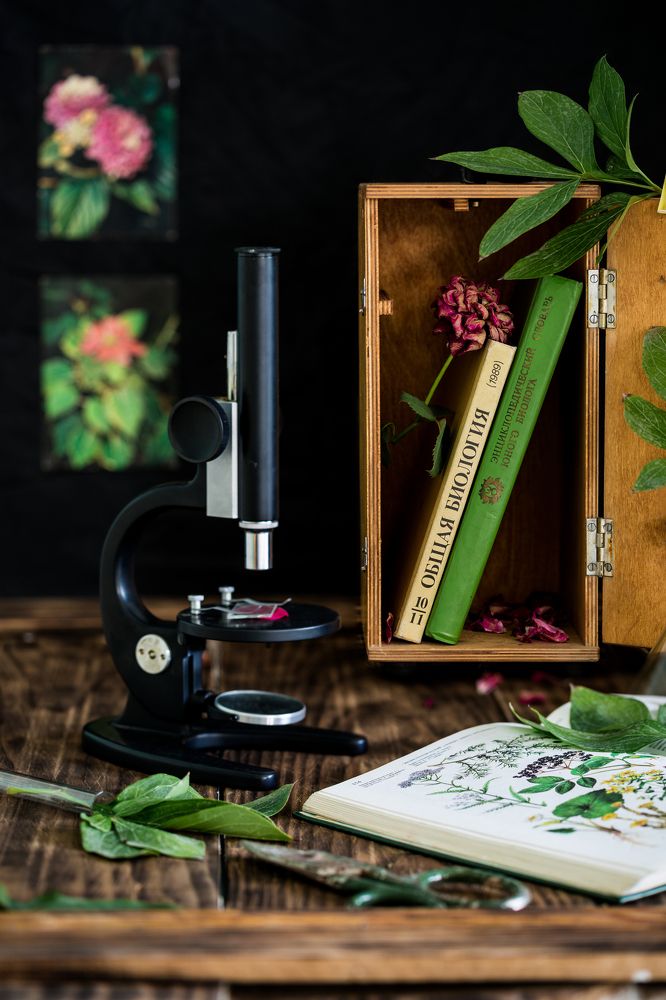 Favorite corner of a young biologist.