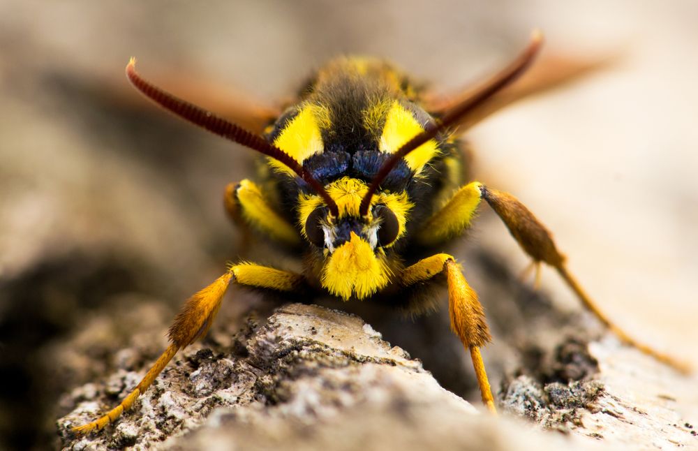 Photograph by Сергей Масленников