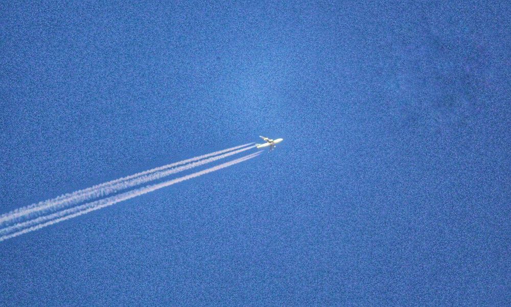sky life.