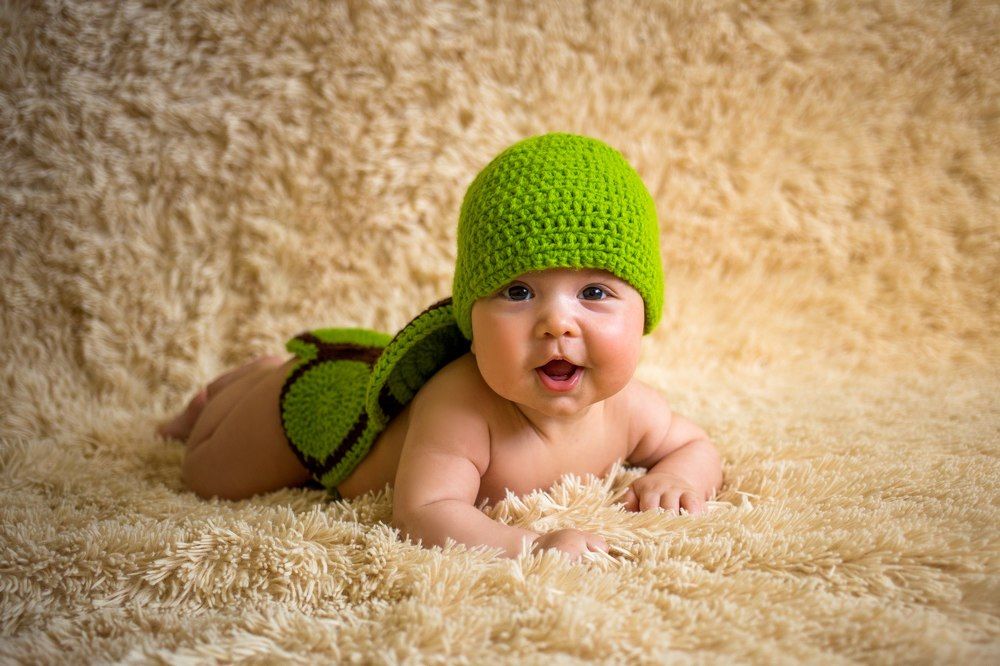 черепашонок