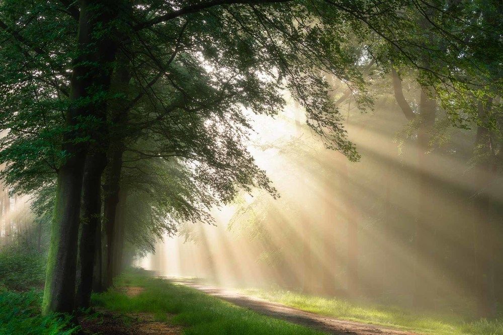 Intense light rays