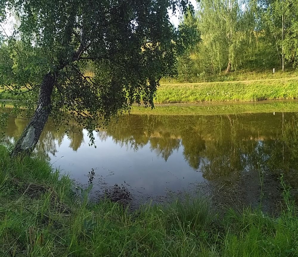 на утренней зорьке