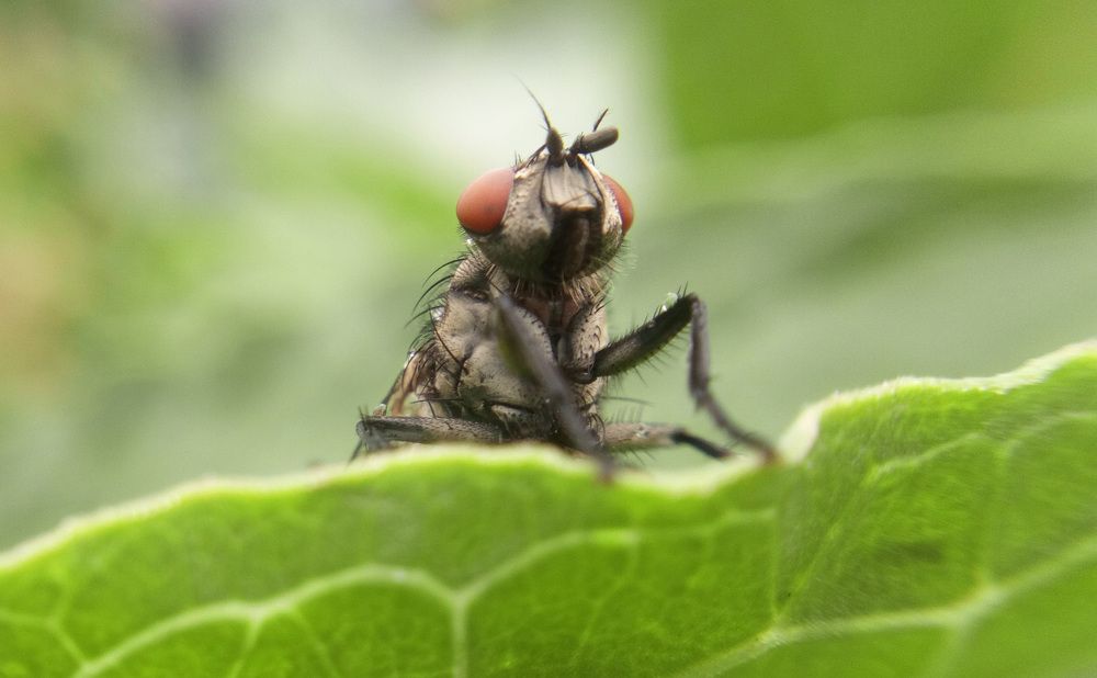 Photograph by Татьяна Кабанец