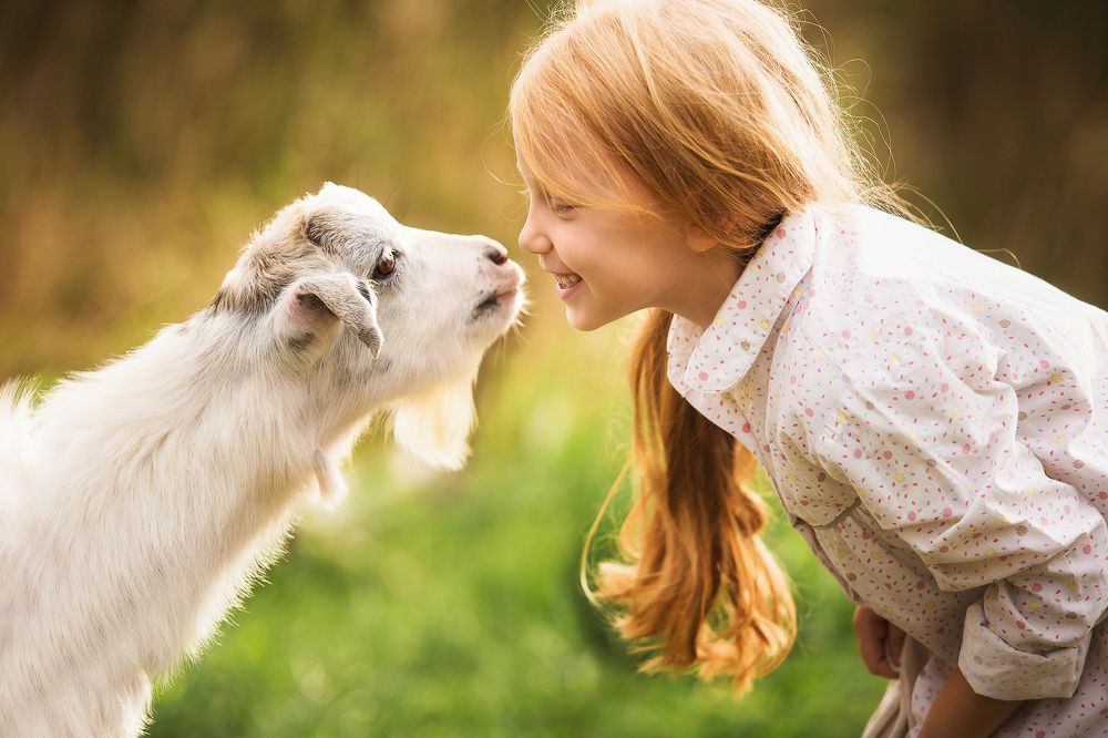 Давай дружить!