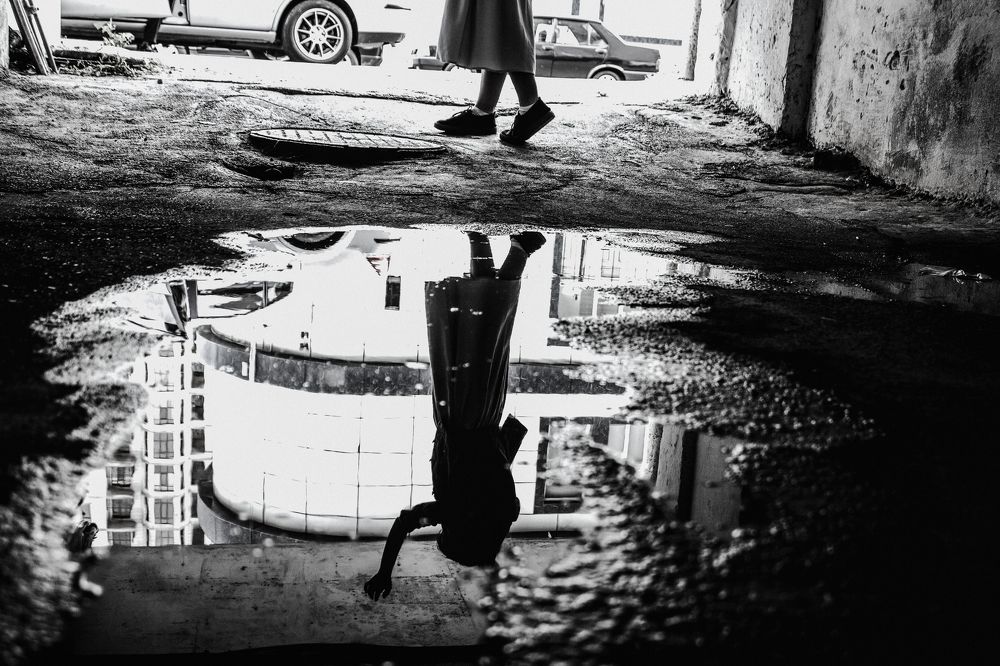 beautiful in the shade