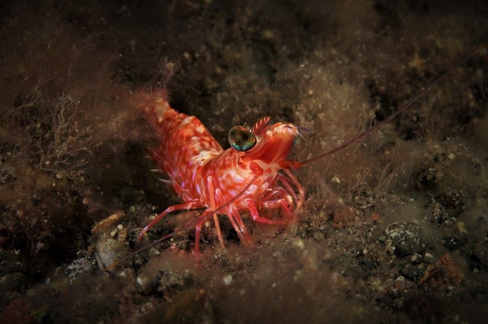 Photograph by Наталия Маслова