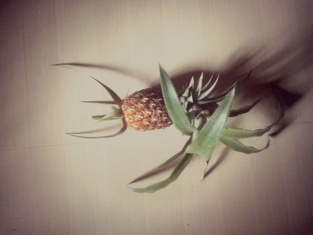 Pineapple