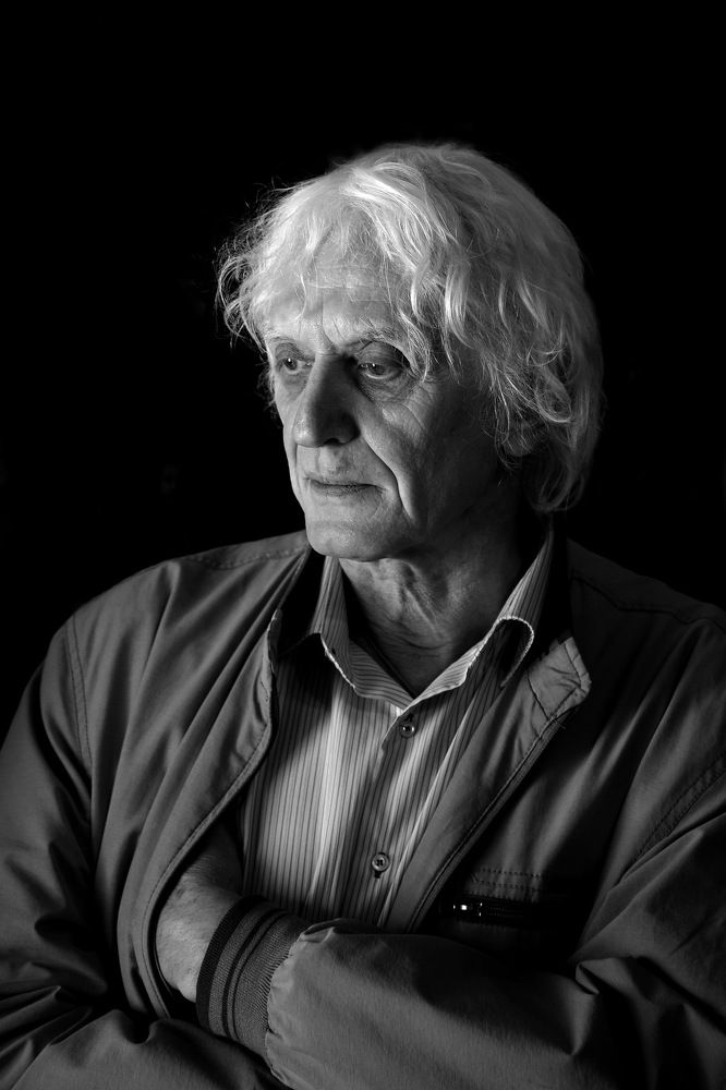 Портрет художника