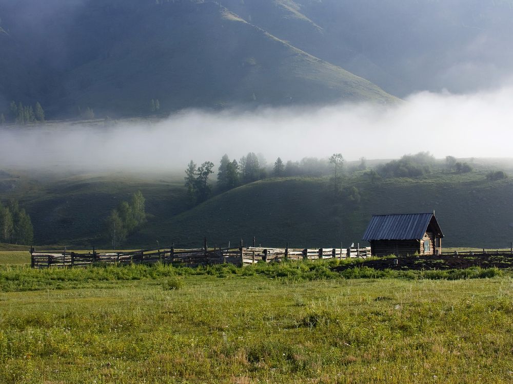 Туман и солнце