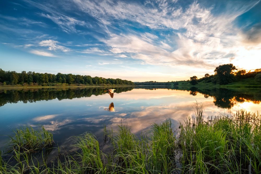Цапля над озером Яланькуль