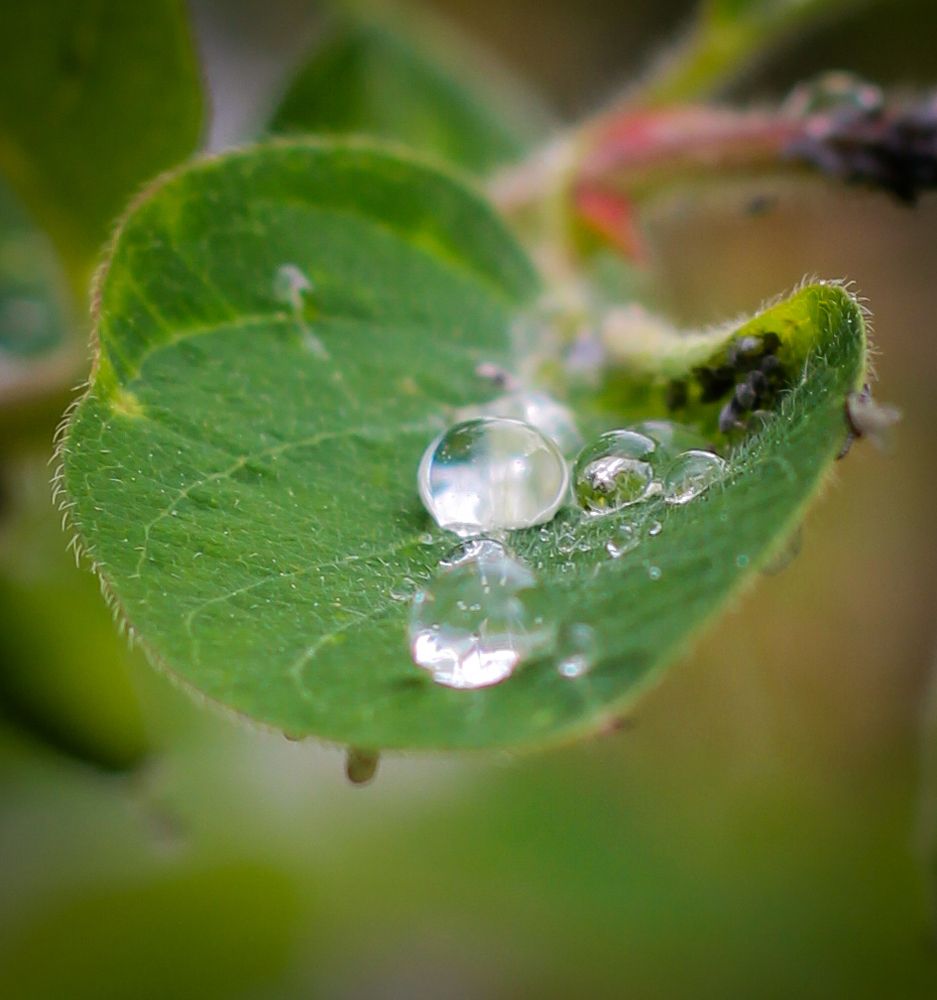 После дождя