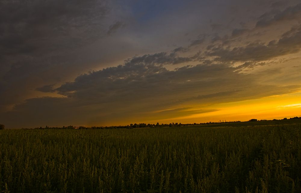 Закат в поле