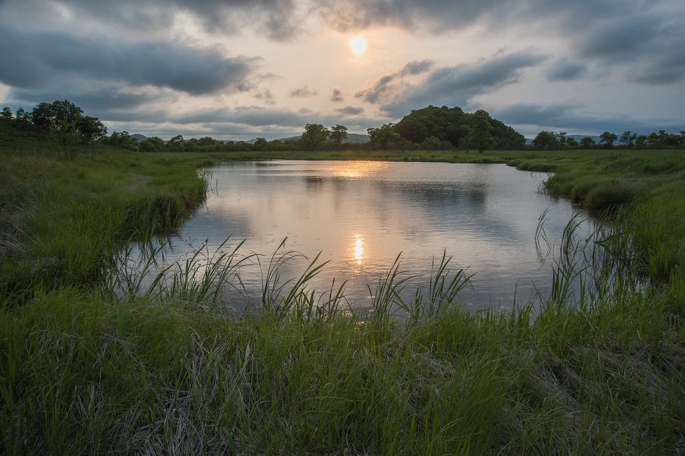 Река Комиссаровка