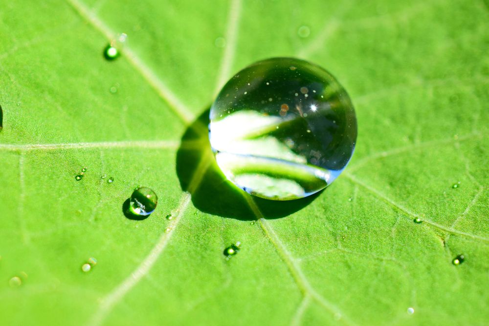 Маленькая Планета