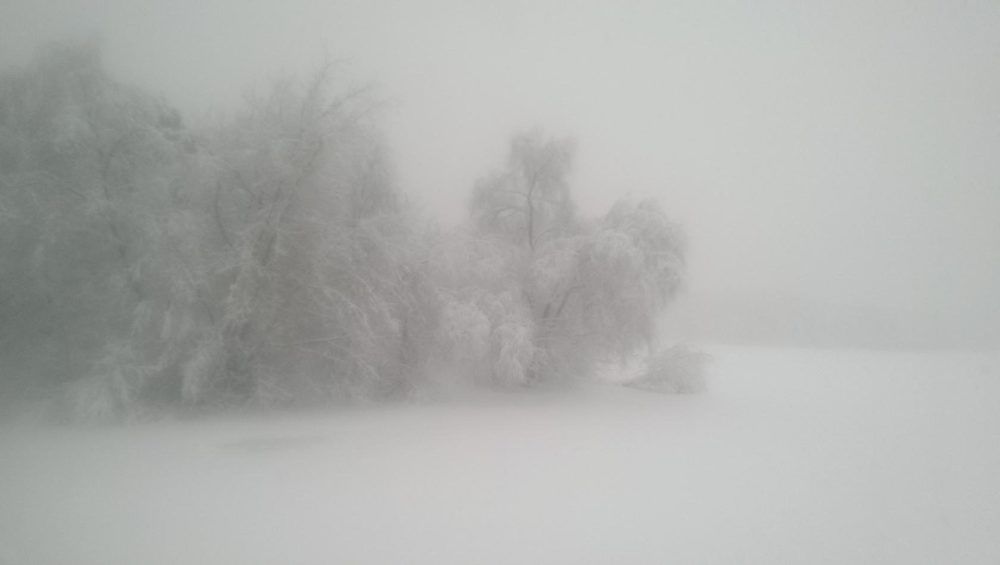 Снежный туман