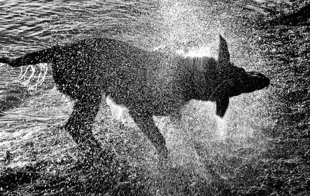 Водяной хулахуп