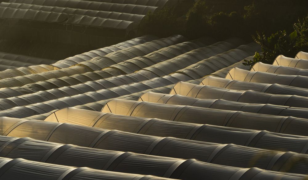 Slide of the morning