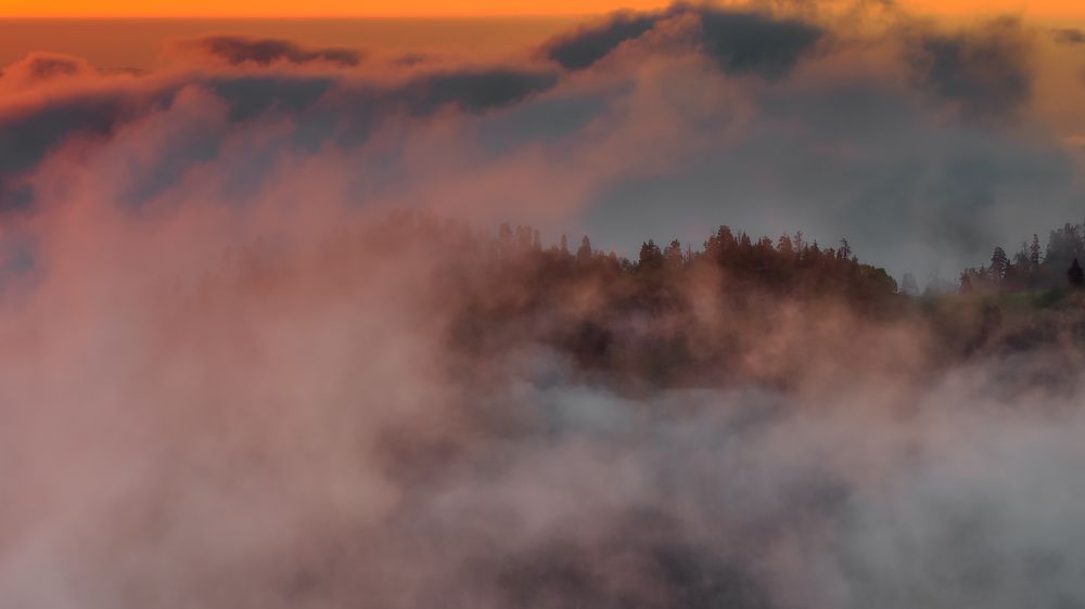 Вечерние туманы гор