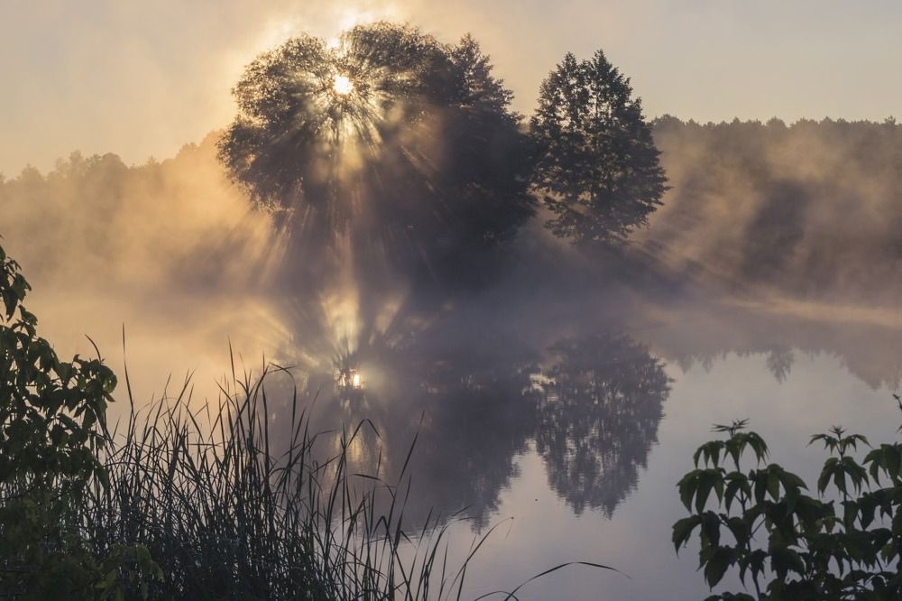 Рождение нового дня!