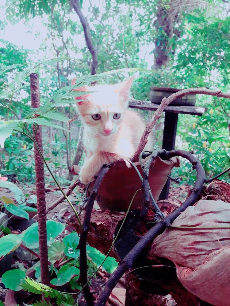 Little cutie