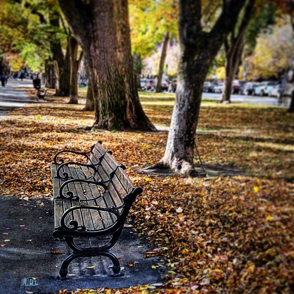 Life in Fall